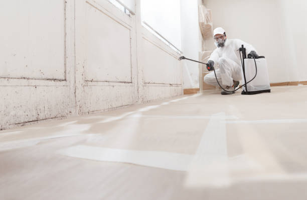 24/7 Emergency Attic Mold Removal experts in Schwenksville, PA